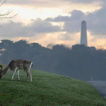 Glencourt * دبلن