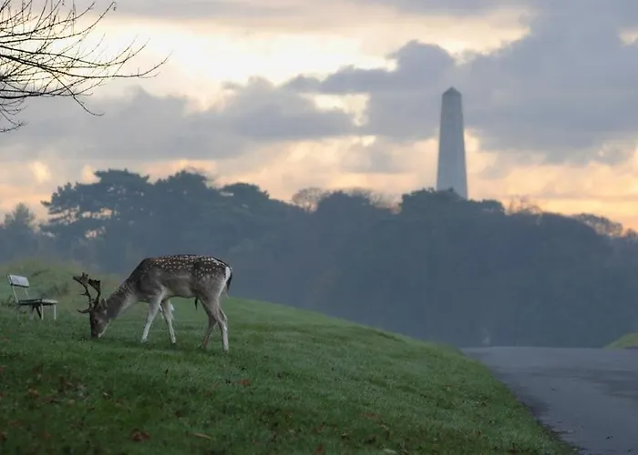 Glencourt * 더블린